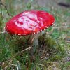 09 b Schluchensteig Etappe 4 - 6